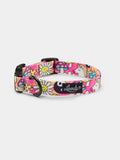 Lucky Collar