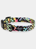 Bodhi Collar