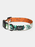 The Tropicana Collar